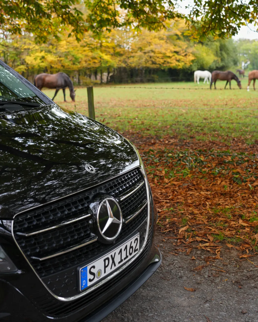 Um Classe V da Mercedes-Benz em visão frontal em uma rua.