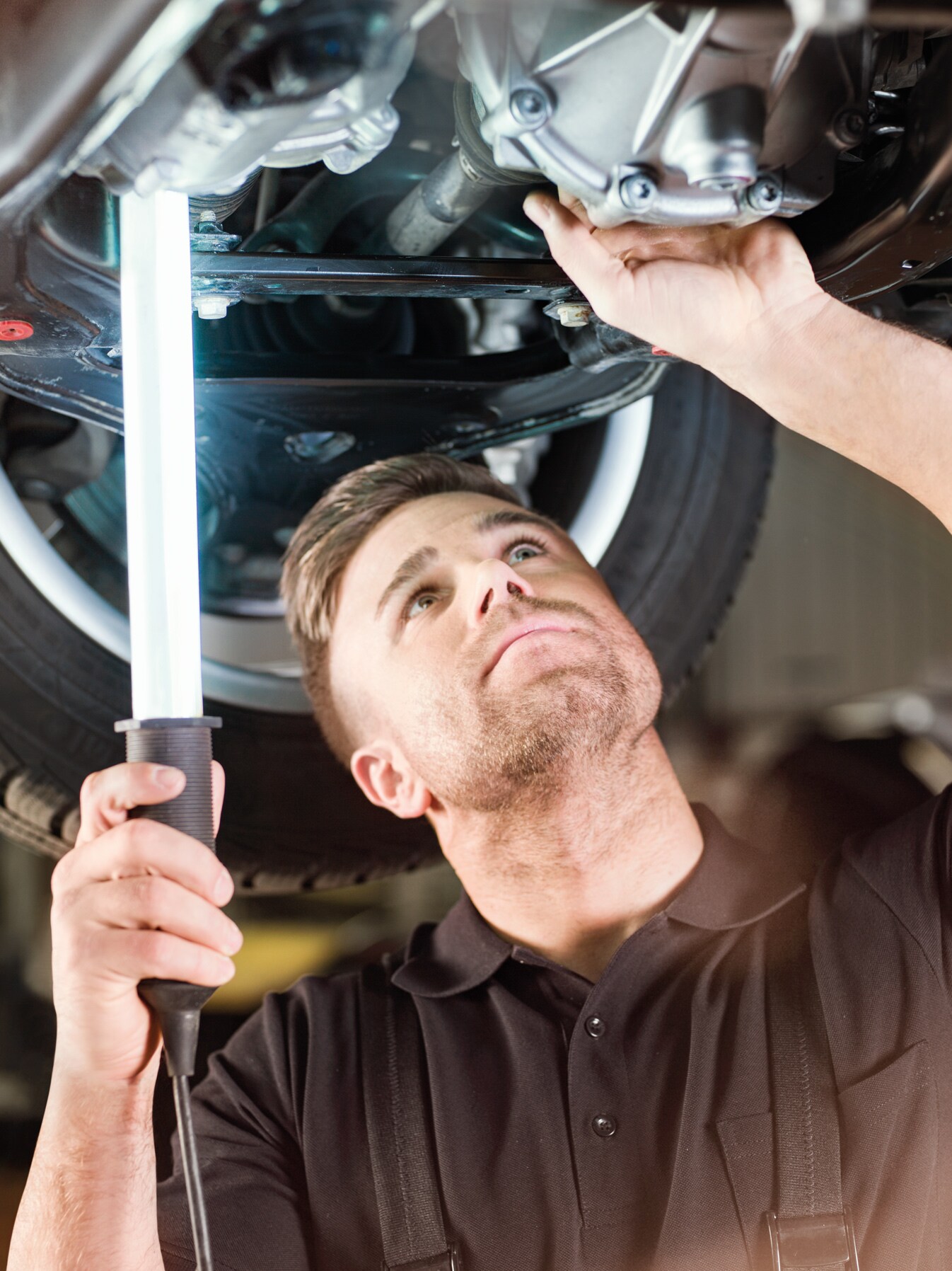 Revisão de primavera